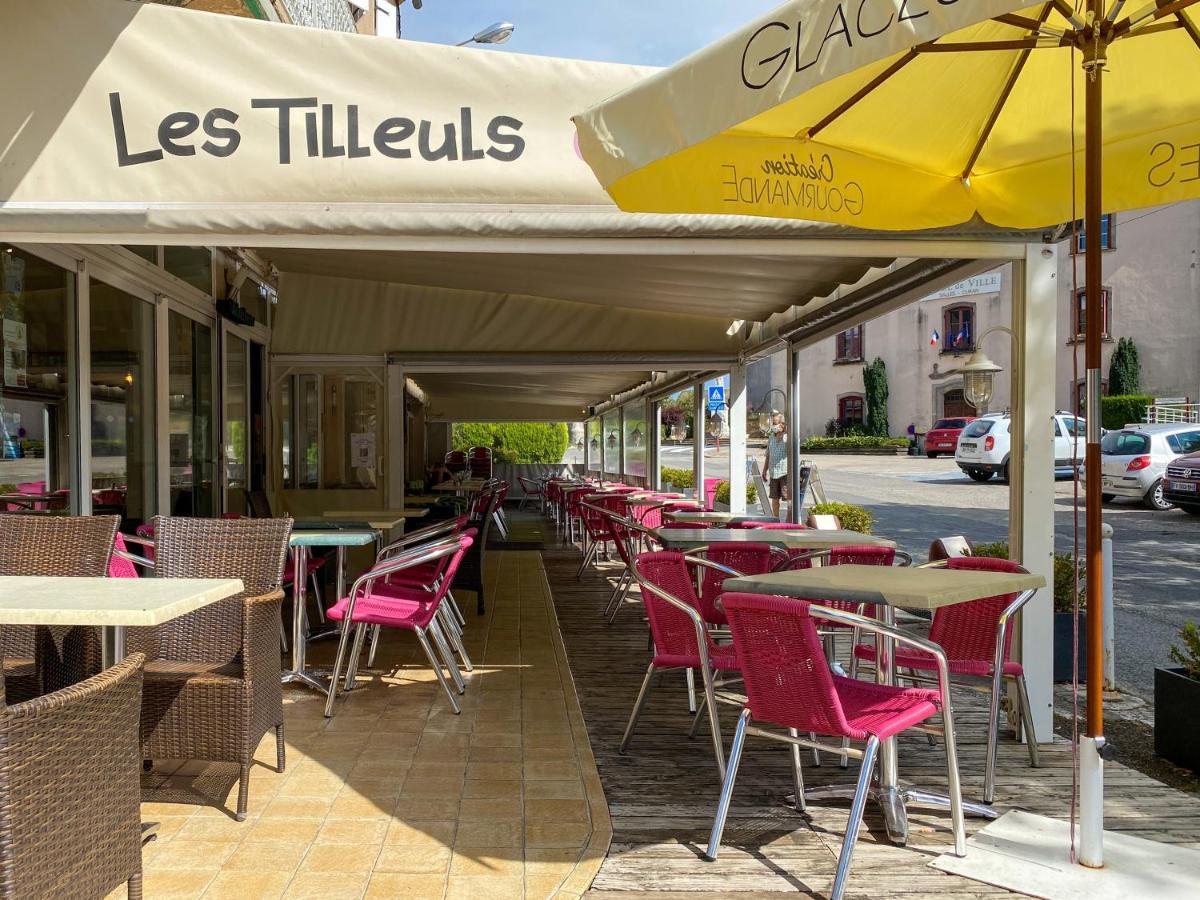 Hotel Les Tilleuls De Pareloup A Salles-Curan Bagian luar foto