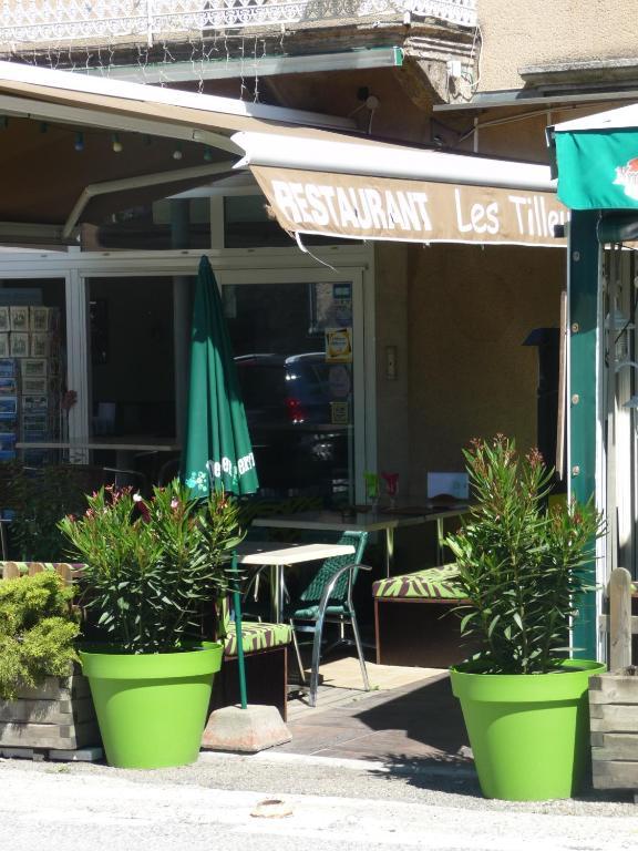 Hotel Les Tilleuls De Pareloup A Salles-Curan Bagian luar foto