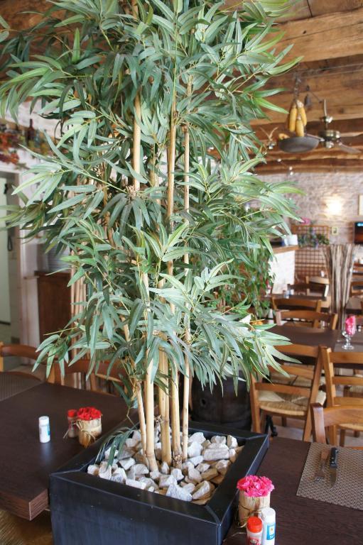 Hotel Les Tilleuls De Pareloup A Salles-Curan Bagian luar foto