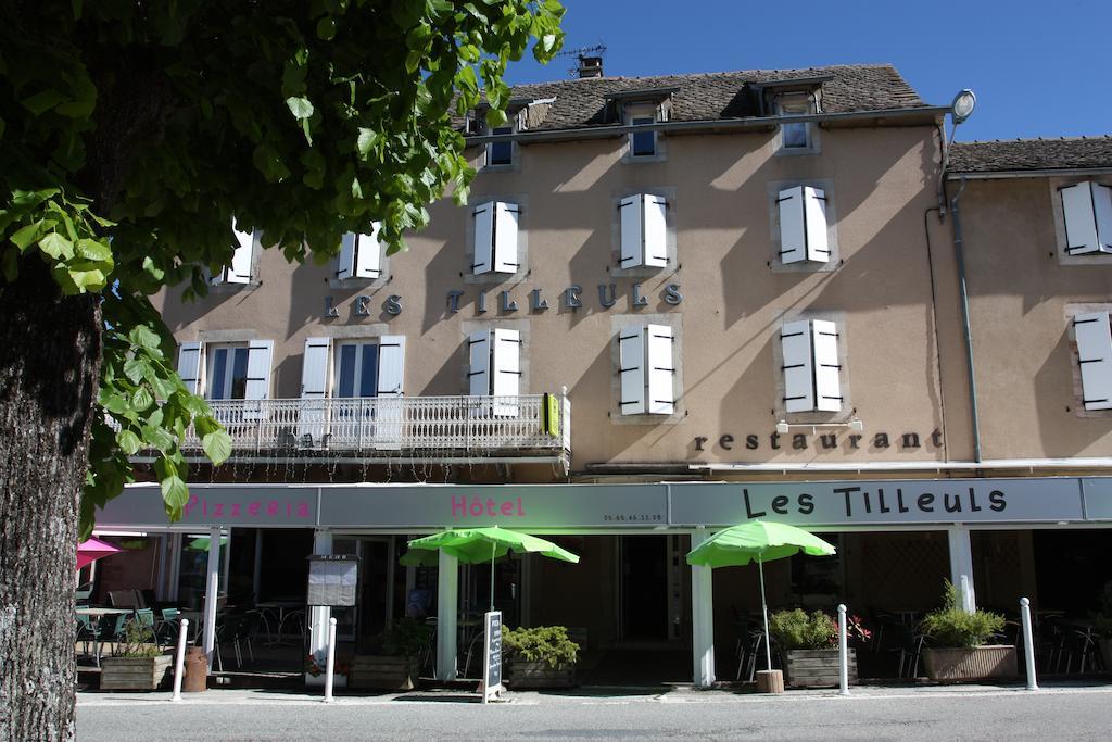 Hotel Les Tilleuls De Pareloup A Salles-Curan Bagian luar foto